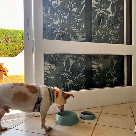 Studio Albufeira Jardim T0 Экстерьер фото